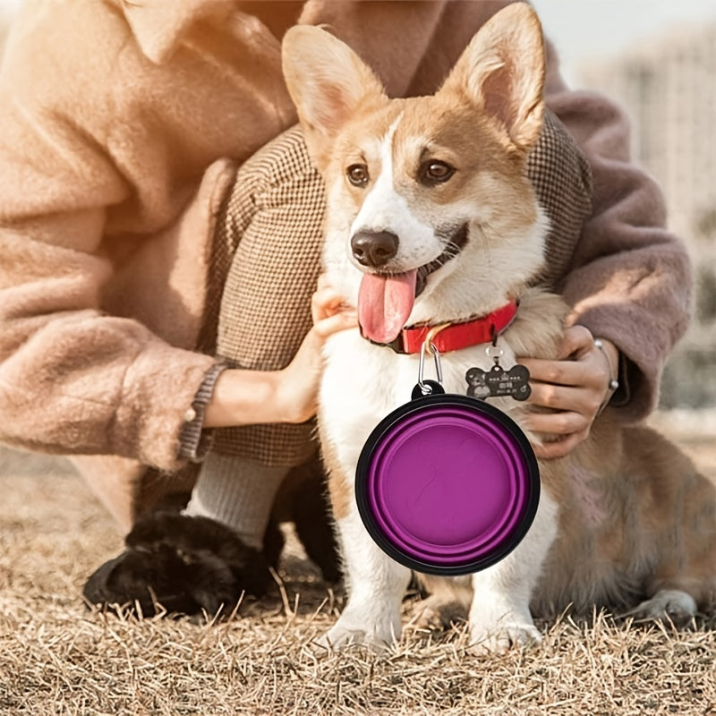 Portable Foldable Pet Bowl with Black Frame, 350ml TPR Dog Food Dish for Outdoors