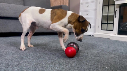 1pc Dogs Toy To Hide Food, Slow Feeding Toy, Ball-shaped Toys, Enjoy Interactive And Educational Dog Toys